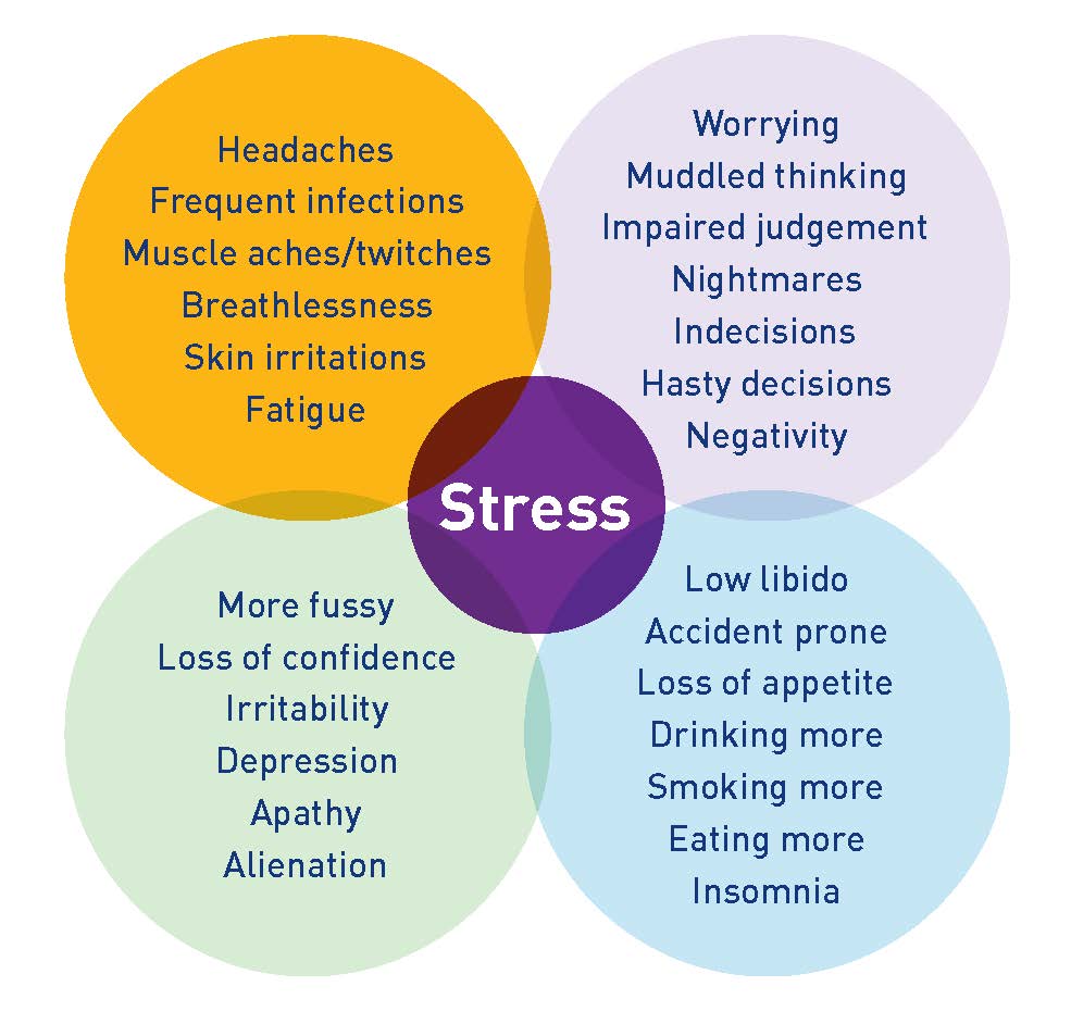 stress-and-cancer-it-s-bad-but-not-all-bad